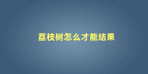 荔枝树不结果的原因(荔枝树开花不结果用什么方法解决)